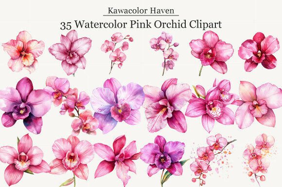 Watercolor Pink Orchid Clipart: Creative Uses, Common Mistakes, and How to Choose Wisely